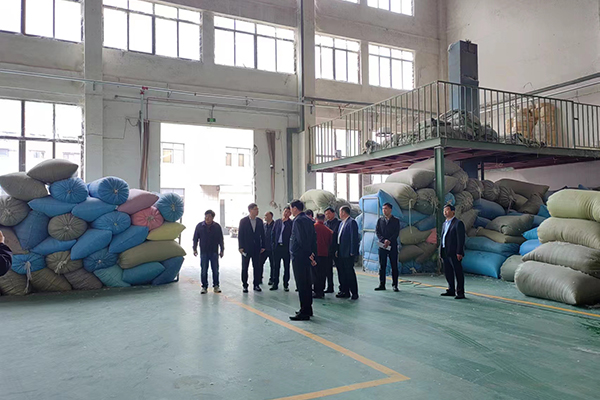 Former County Mayor Li and his delegation from the Organization Department of the Taiqian County Committee visited our company for guidance and negotiation of investment intentions